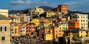 Genoa